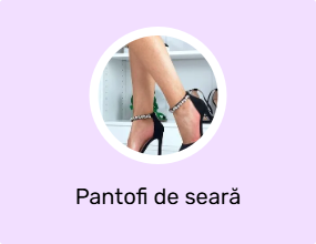 Pantofi de seară