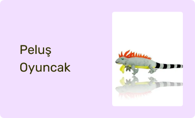Peluş Oyuncak