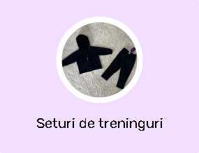 Seturi de treninguri