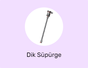 Dik Süpürge
