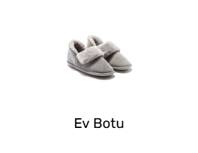 Ev Botu