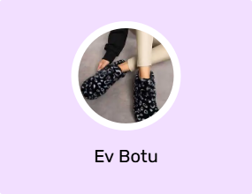 Ev Botu