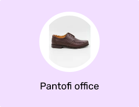 Pantofi office