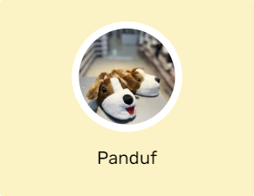 Panduf