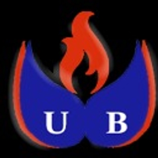 UBAY ISI logo