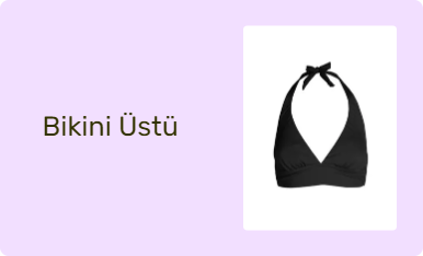 Bikini Üstü