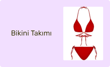 Bikini Takımı