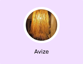 Avize