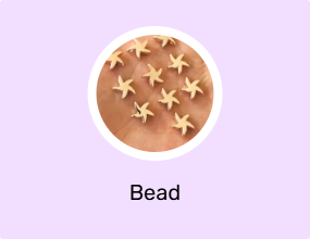 Bead