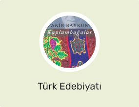 Türk Edebiyatı
