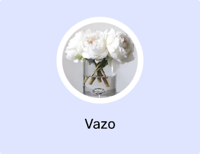 Vazo