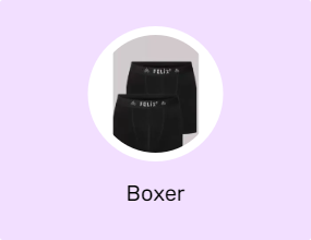 Boxer