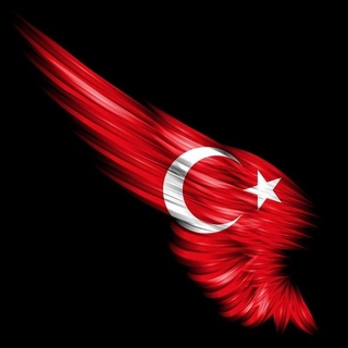 Aksukon satış logo