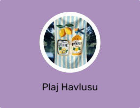 Plaj Havlusu