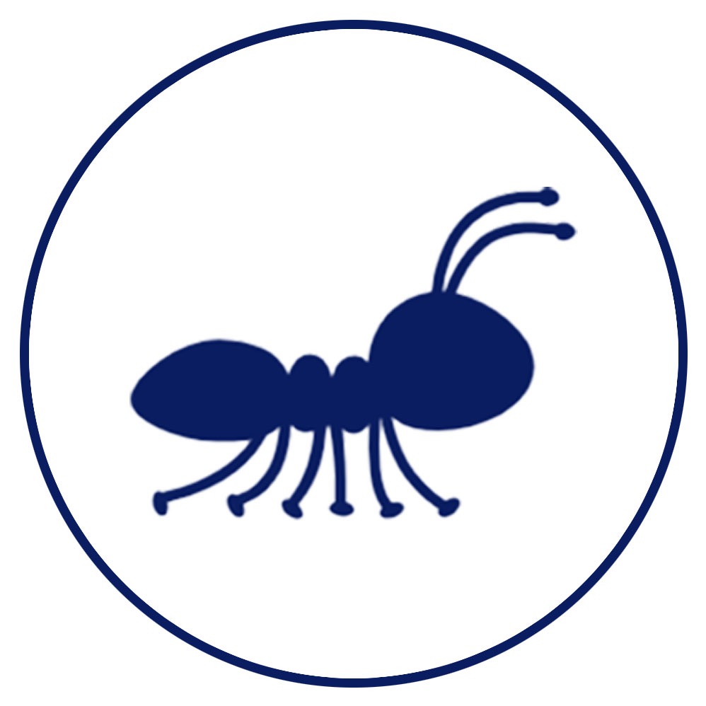 AtomlarGross