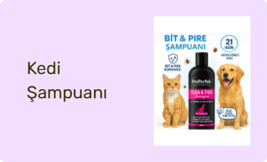 Kedi Şampuanı