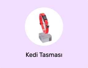 Kedi Tasması