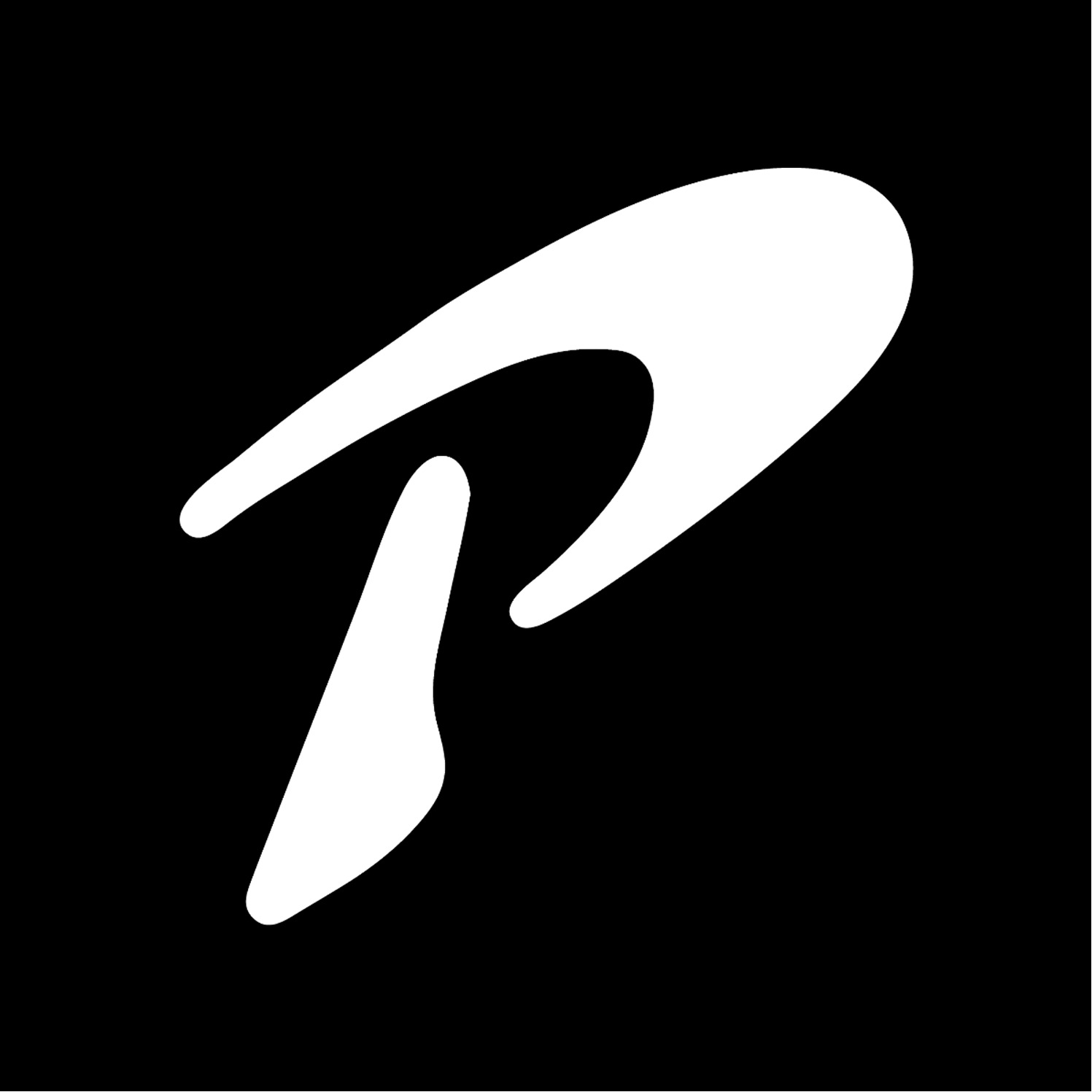 Passion Athletics logo