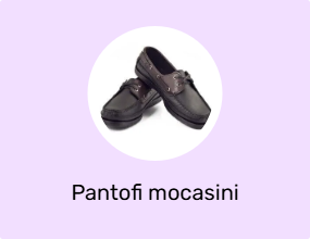 Pantofi mocasini