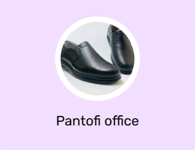 Pantofi office