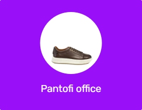 Pantofi office