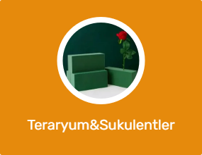 Teraryum&Sukulentler