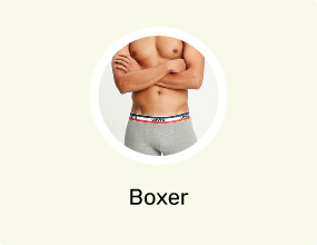 Boxer