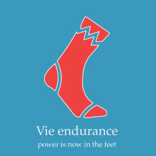 ROBUST logo