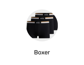 Boxer