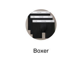 Boxer