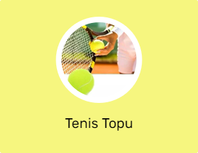 Tenis Topu