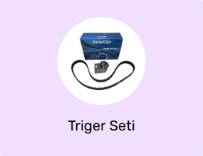 Triger Seti