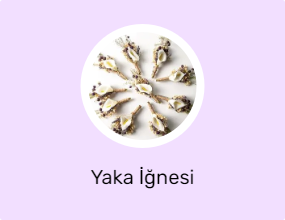 Yaka İğnesi