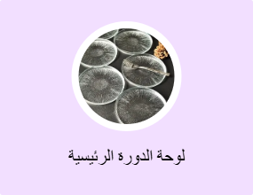 لوحة الدورة الرئيسية