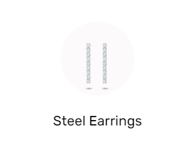 Steel Earrings