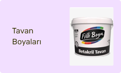 Tavan Boyaları