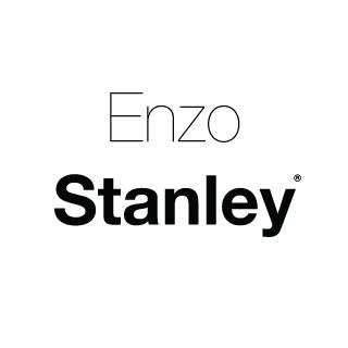 Enzo Stanley logo