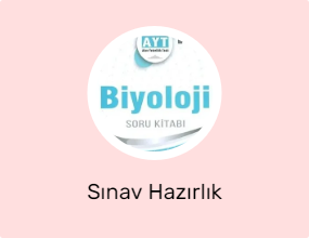 Sınav Hazırlık
