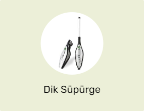 Dik Süpürge