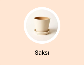 Saksı