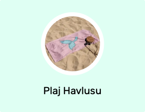 Plaj Havlusu