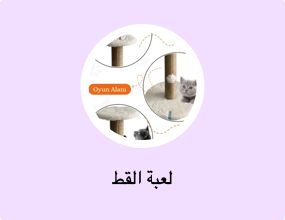 لعبة القط
