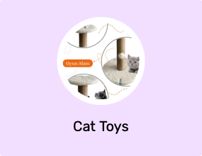 Cat Toys