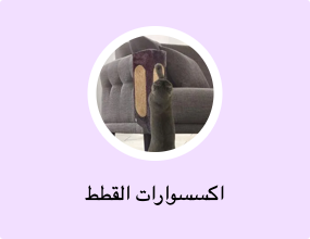 اكسسوارات القطط