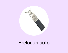 Brelocuri auto