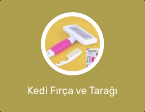 Kedi Fırça ve Tarağı