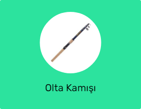 Olta Kamışı