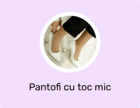 Pantofi cu toc mic