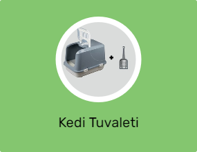 Kedi Tuvaleti
