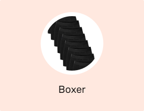Boxer